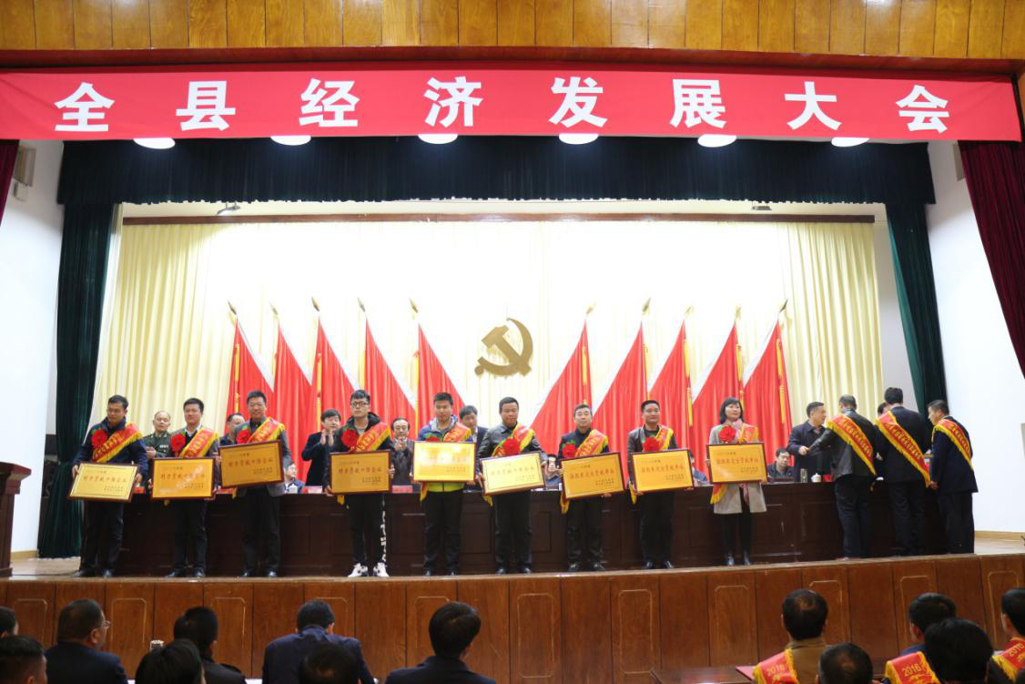 香港全年正版图库