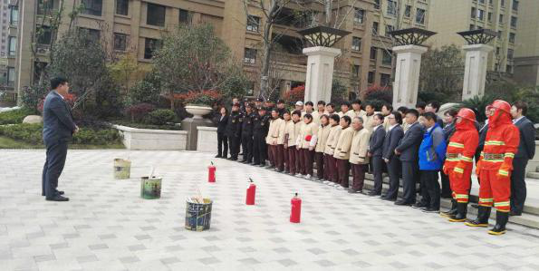 香港全年正版图库