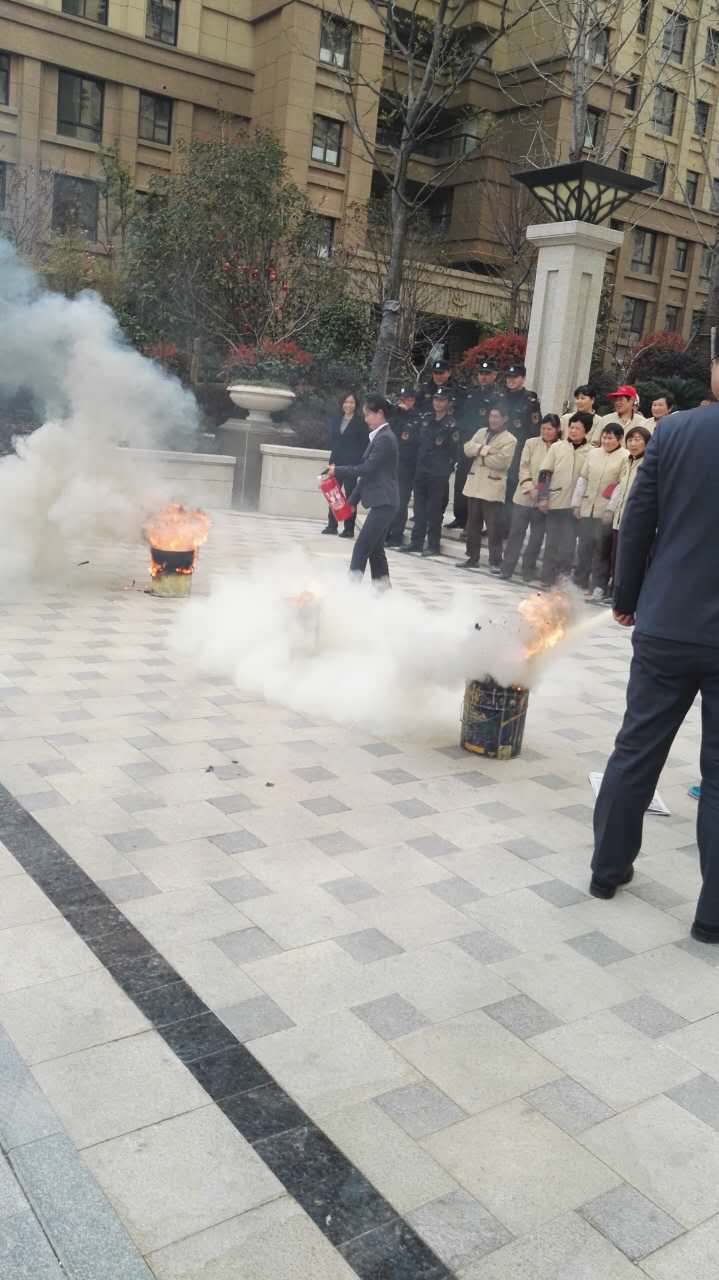 香港全年正版图库