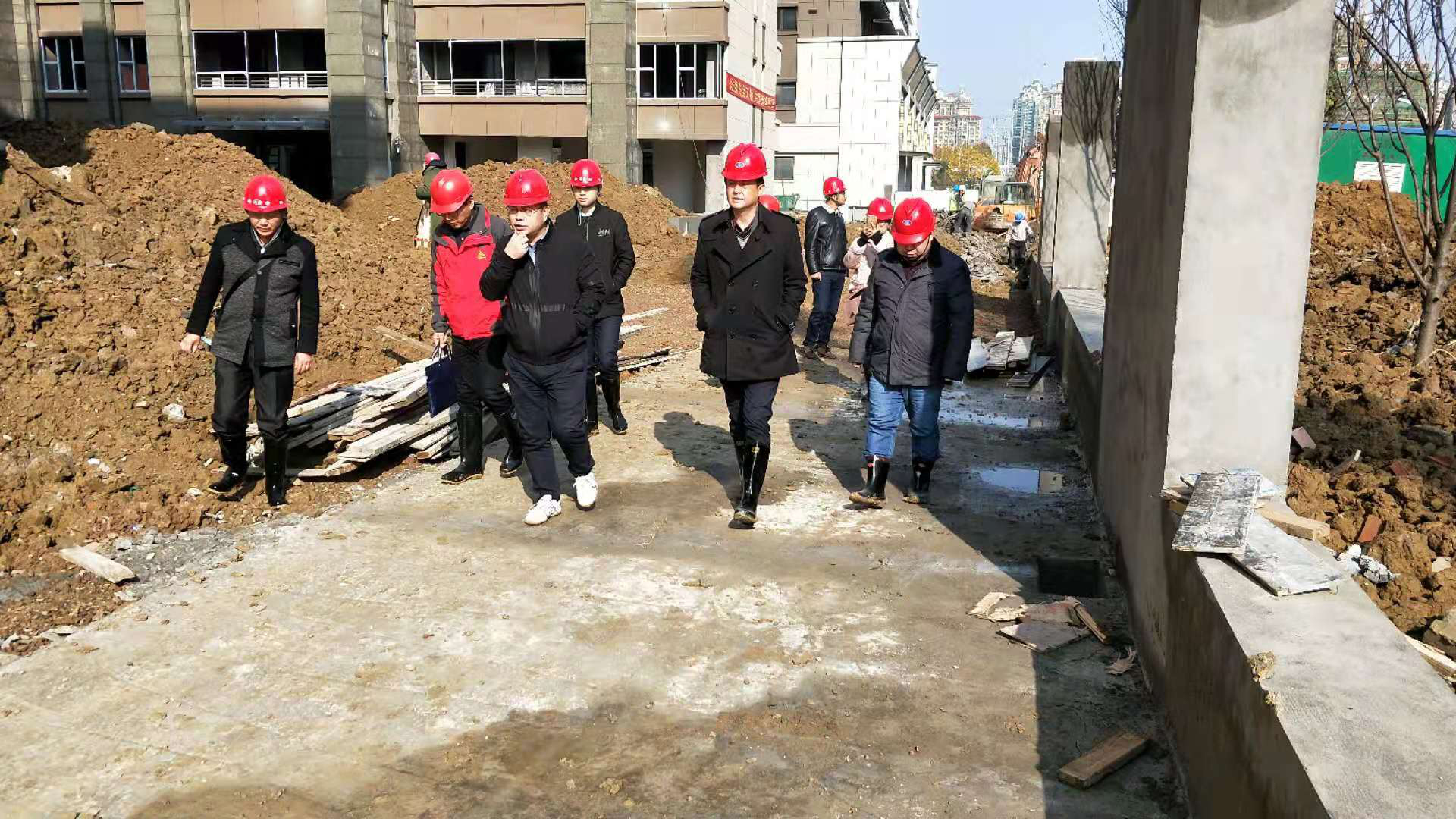 香港全年正版图库