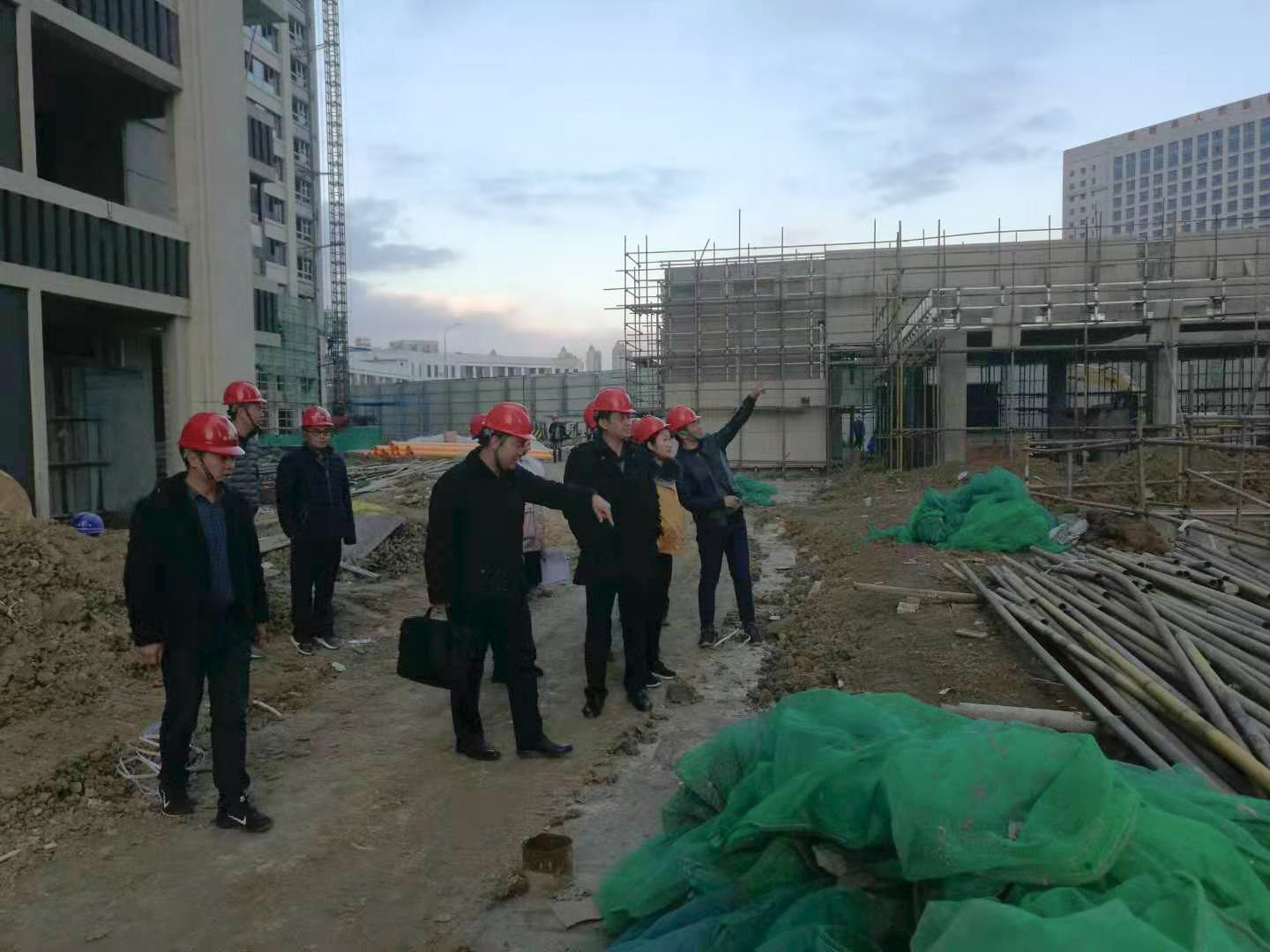 香港全年正版图库