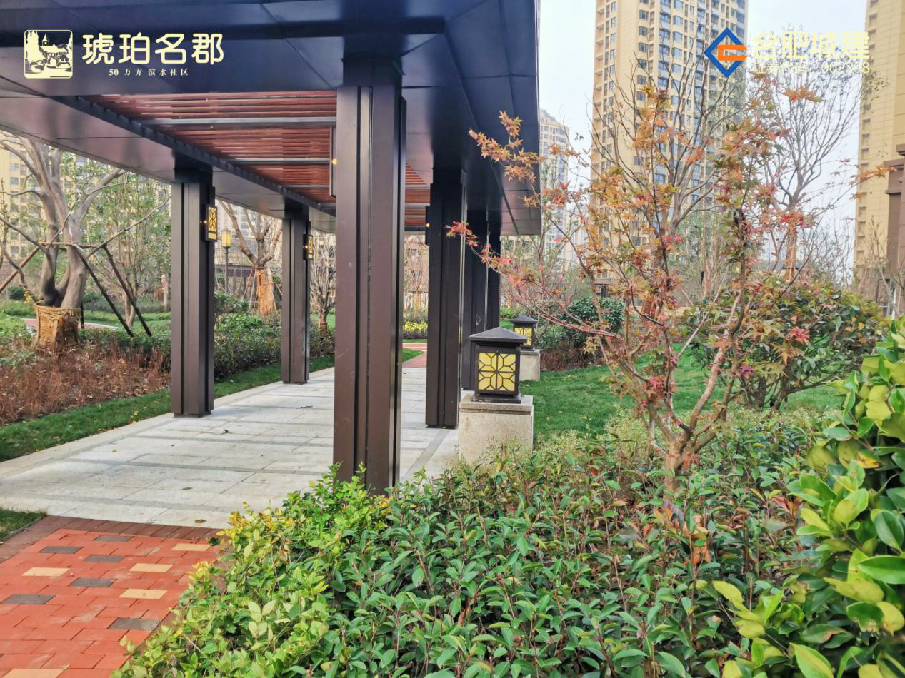 香港全年正版图库