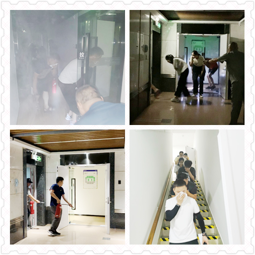 香港全年正版图库