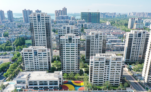 香港全年正版图库