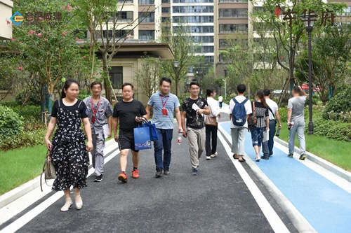 香港全年正版图库