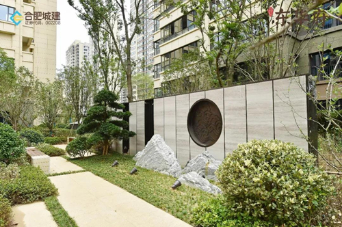 香港全年正版图库